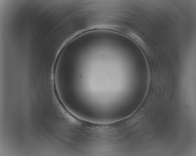 X0000075351428200609081138