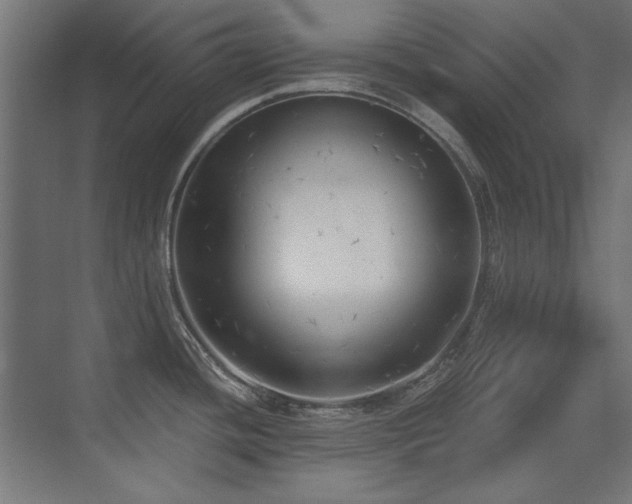 X0000075351436200609081138