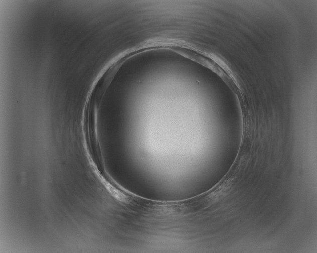 X0000075351438200609081138