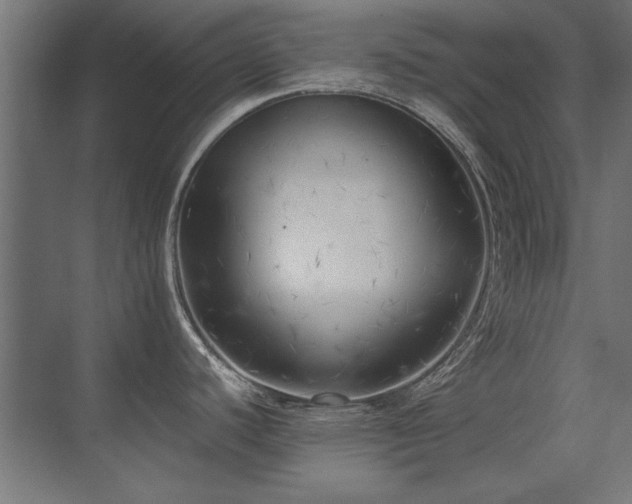 X0000075351440200609081138