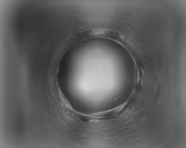 X0000075351441200609081137