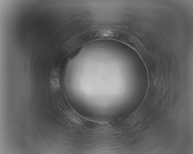 X0000075351442200609081137