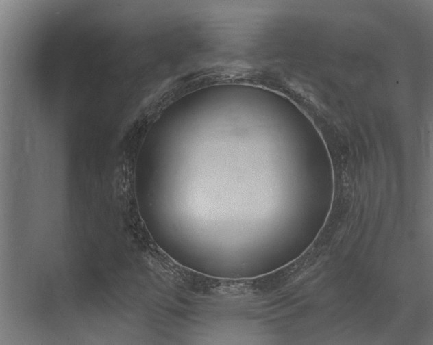 X0000075351447200609081137