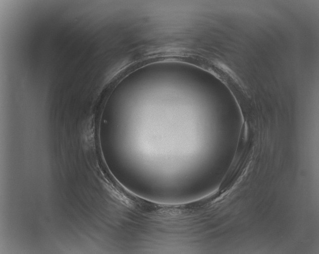 X0000075351450200609081137