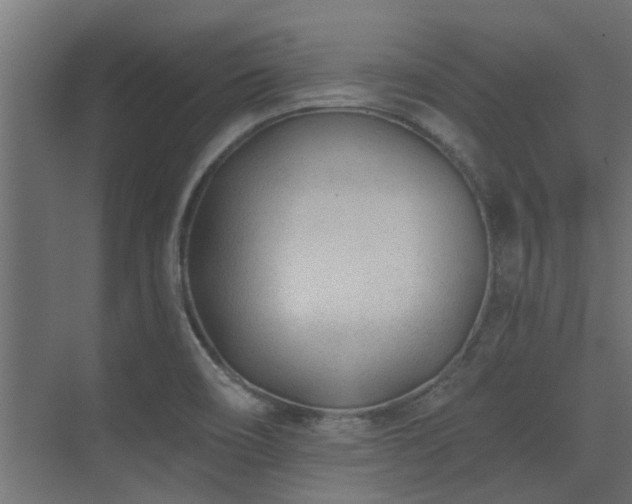 X0000075351466200609081137