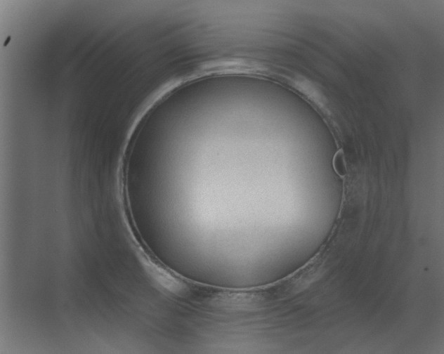 X0000075351474200609081137