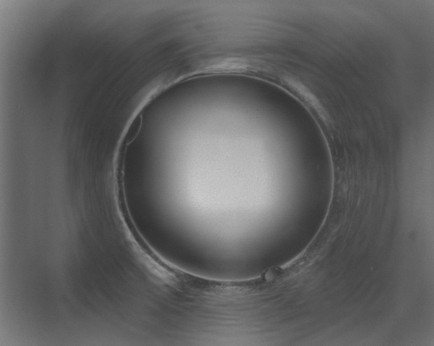 X0000075351475200609081137