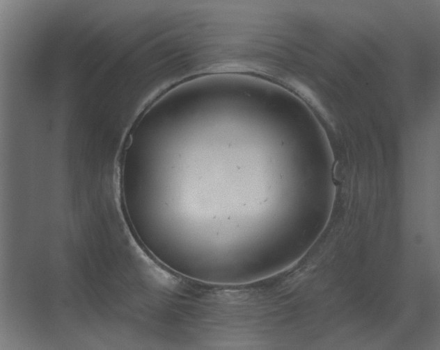 X0000075351476200609081137