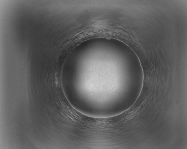 X0000075351490200609081136