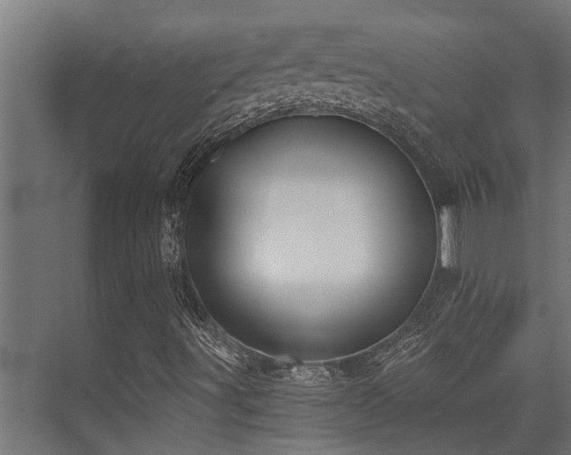 X0000075351491200609081136