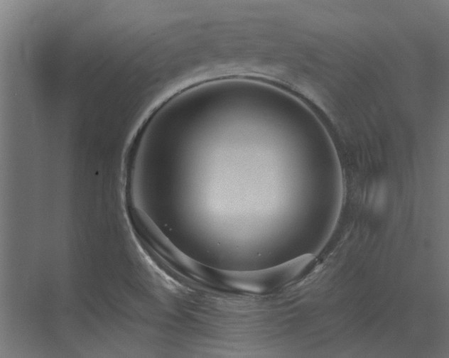 X0000075351508200609081136