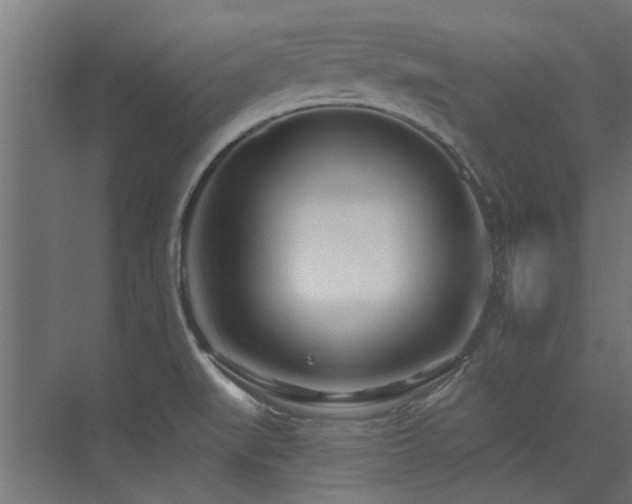 X0000075351519200609081136