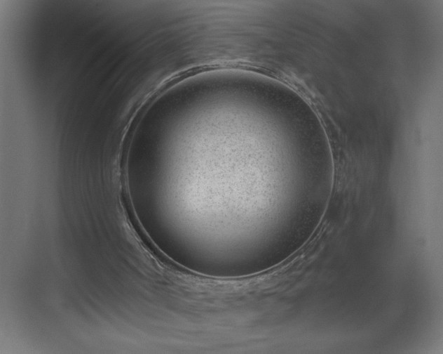 X0000075350002200609151623