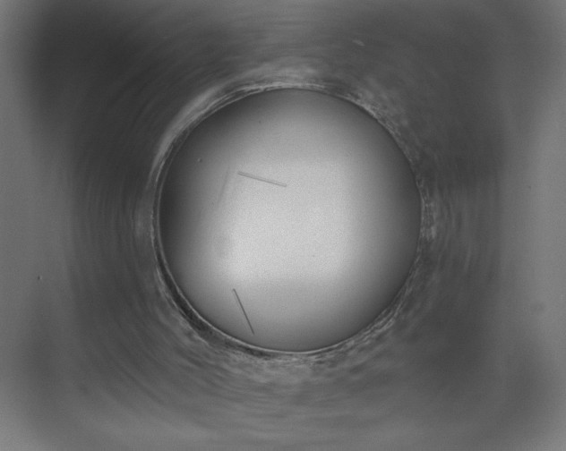 X0000075350004200609151623