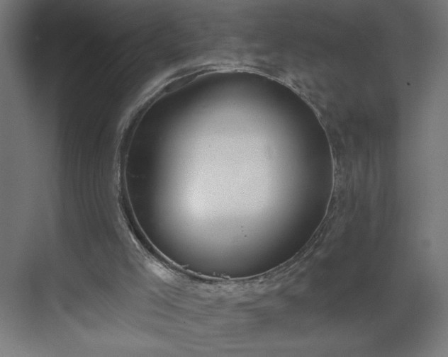 X0000075350005200609151623