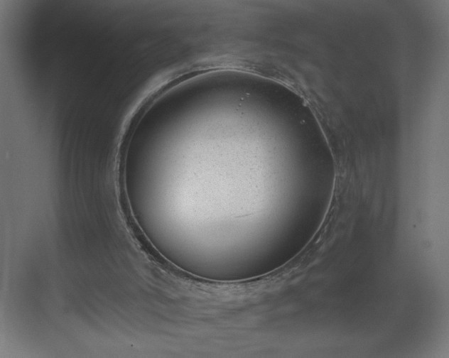X0000075350006200609151623