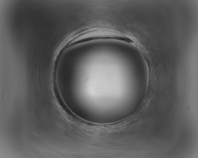 X0000075350007200609151623