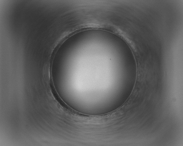 X0000075350011200609151623