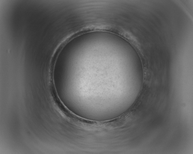 X0000075350012200609151623