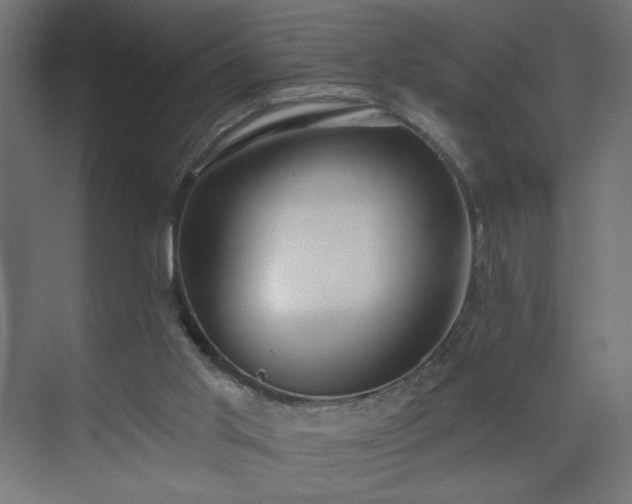 X0000075350013200609151623