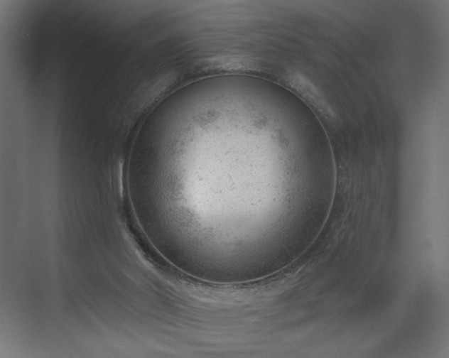 X0000075350014200609151623