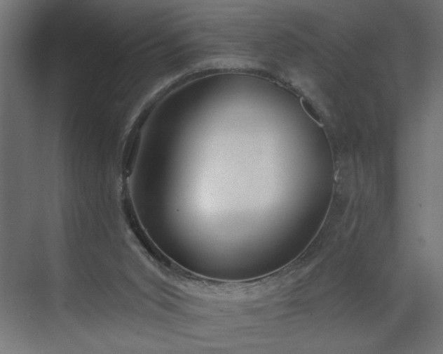 X0000075350015200609151623