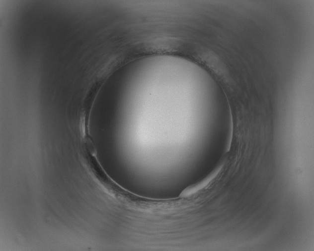 X0000075350021200609151622