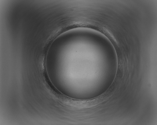 X0000075350023200609151622