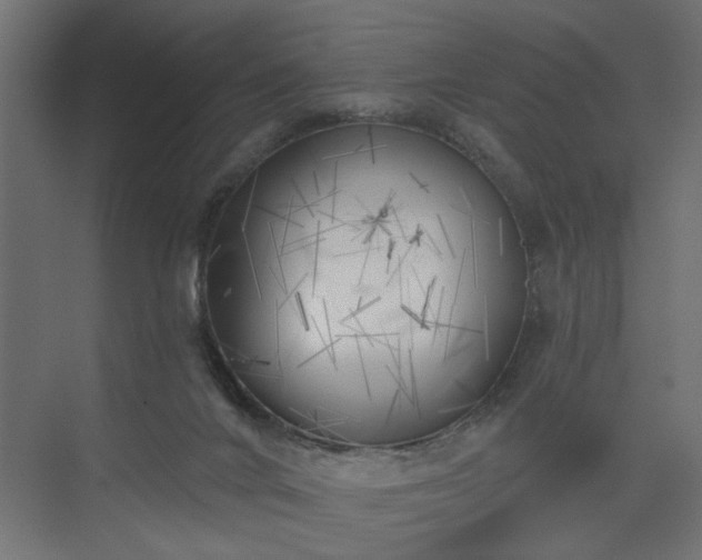 X0000075350024200609151622