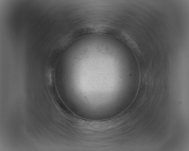 X0000075350026200609151622