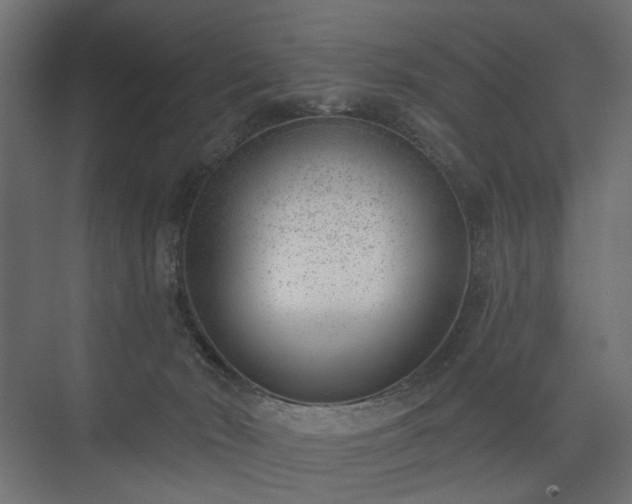 X0000075350030200609151622