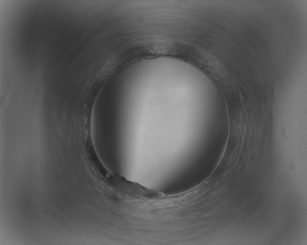 X0000075350031200609151622