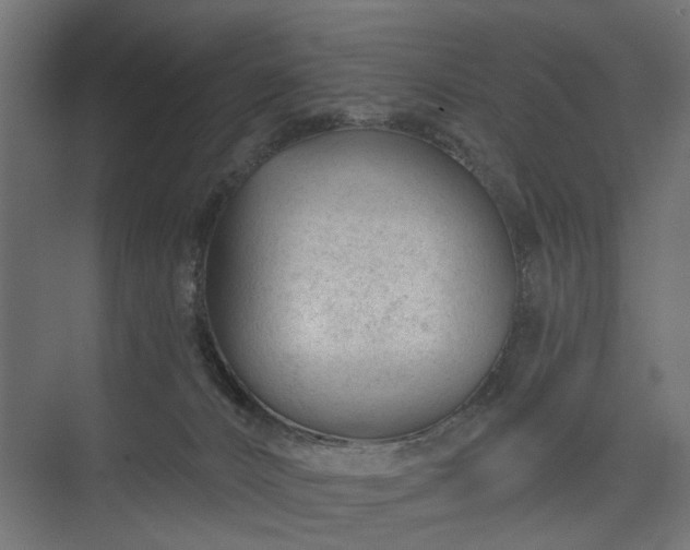 X0000075350032200609151622