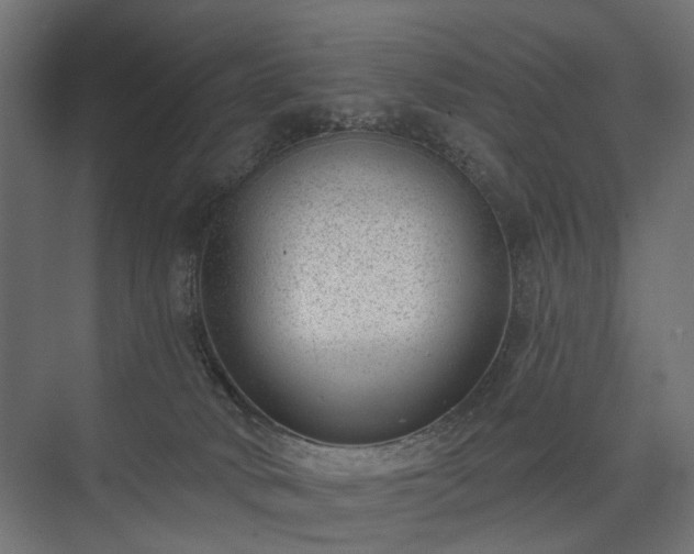 X0000075350034200609151622