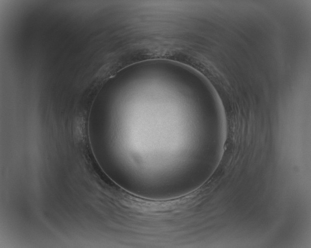 X0000075350035200609151622