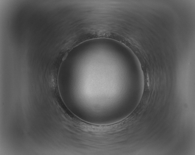 X0000075350039200609151622