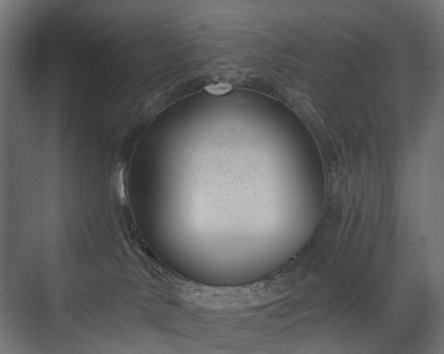 X0000075350042200609151622