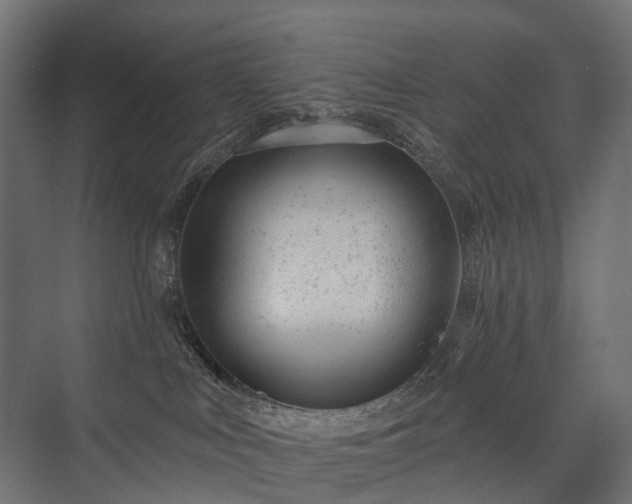 X0000075350043200609151622