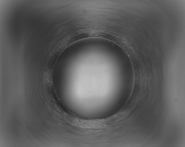 X0000075350044200609151622