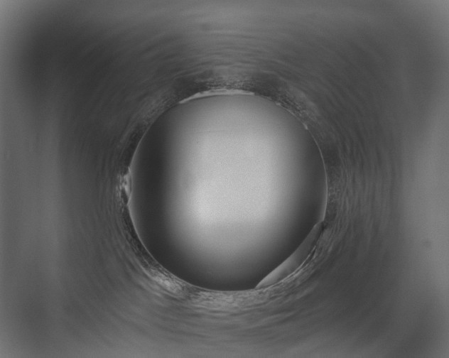 X0000075350045200609151622