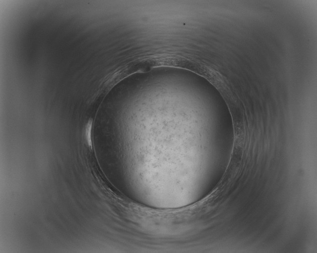 X0000075350047200609151622