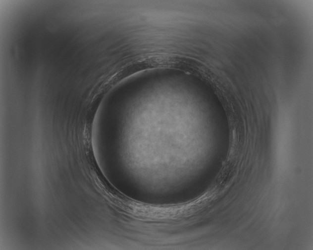 X0000075350048200609151622