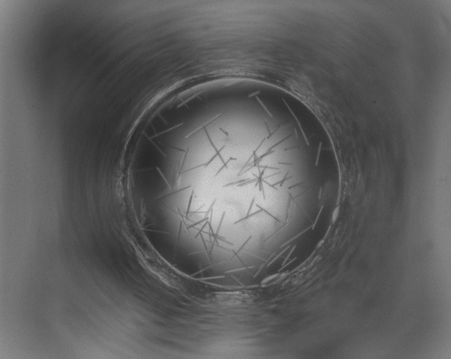 X0000075350050200609151621