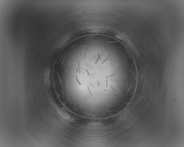 X0000075350066200609151622