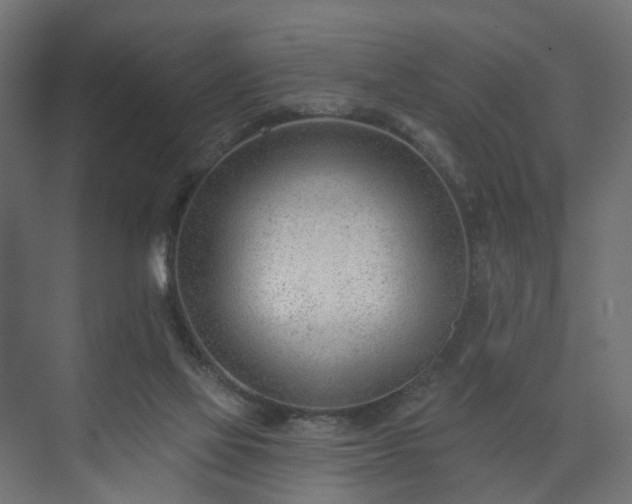 X0000075350069200609151622