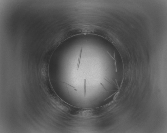 X0000075350078200609151622