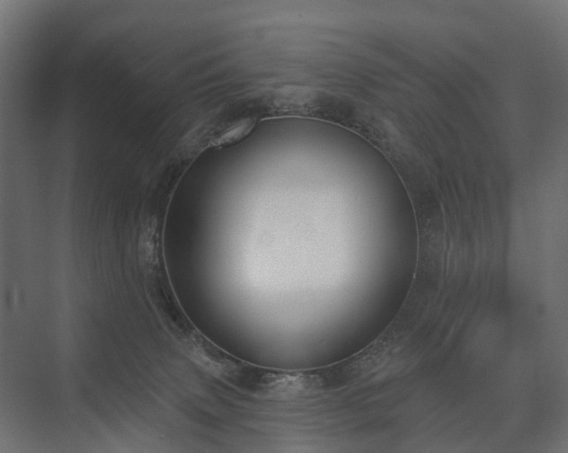 X0000075350083200609151622