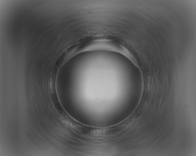 X0000075350084200609151622