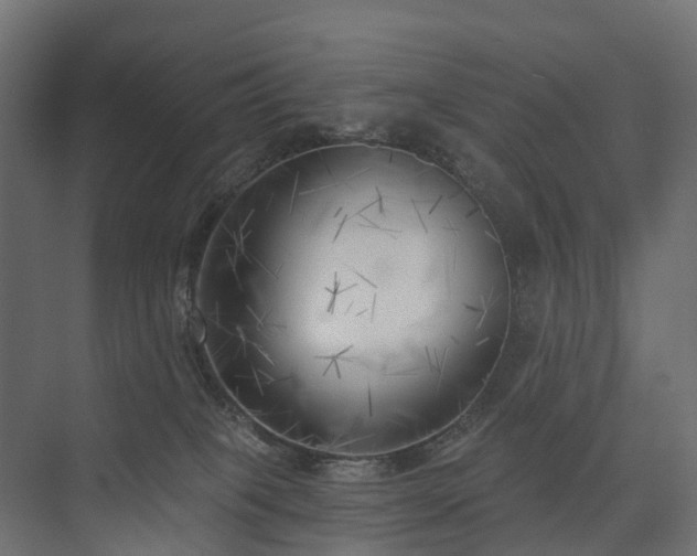 X0000075350085200609151622