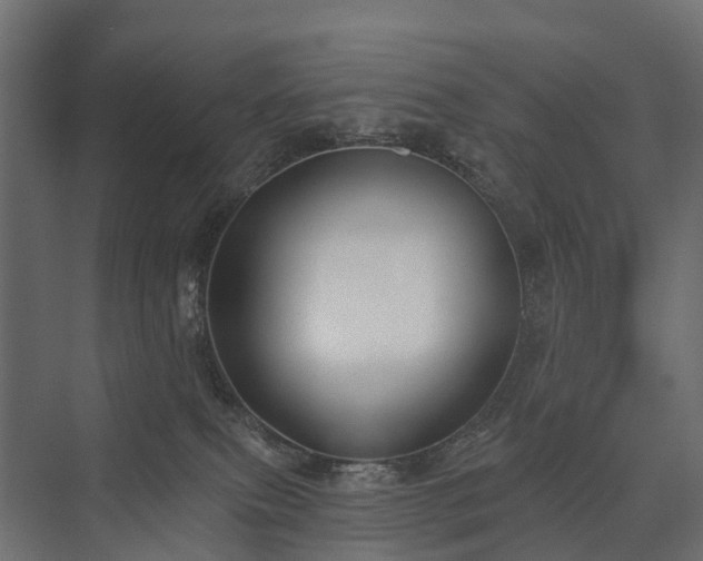 X0000075350087200609151622